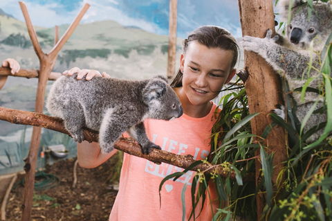 Oakvale Wildlife Park - E Caravan Parks 0