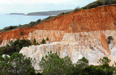 Pinnacles Loop Walking Track - E Caravan Parks 0