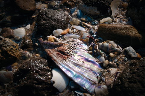 Point Cook Marine Sanctuary - E Caravan Parks 1