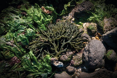 Point Cook Marine Sanctuary - E Caravan Parks 2