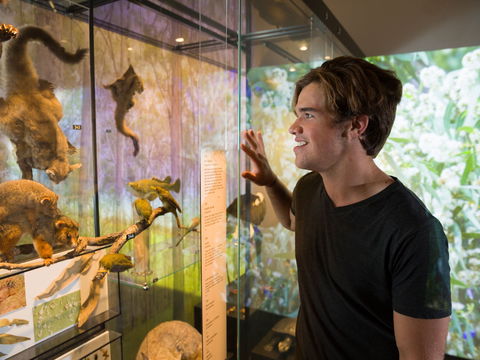 Queensland Museum - E Caravan Parks 0