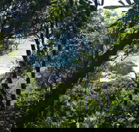 Rainforest Walking Track Hat Head National Park - E Caravan Parks