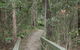 Springwood Conservation Park - thumb 0