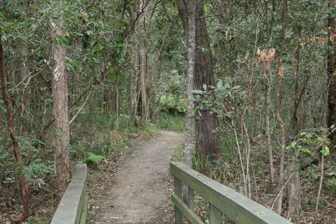Springwood Conservation Park - E Caravan Parks 0