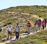The Sole Walk at Hillocks Drive - E Caravan Parks