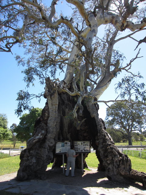 The Herbig Family Tree - E Caravan Parks 0