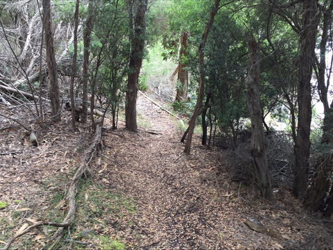 The Lady Barron Foreshore Walk - E Caravan Parks 1