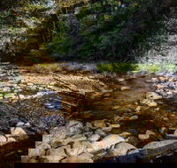 Wilson River picnic area - E Caravan Parks