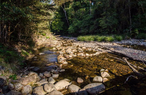 Wilson River Picnic Area - E Caravan Parks 0