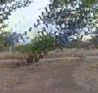 Alexander Forest Memorial - E Caravan Parks