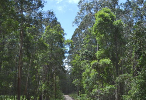 Alfred National Park - E Caravan Parks 1