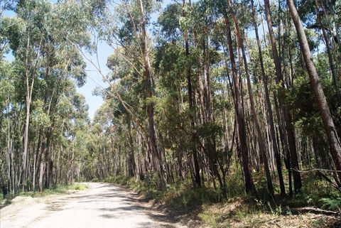 Alfred National Park - E Caravan Parks 2