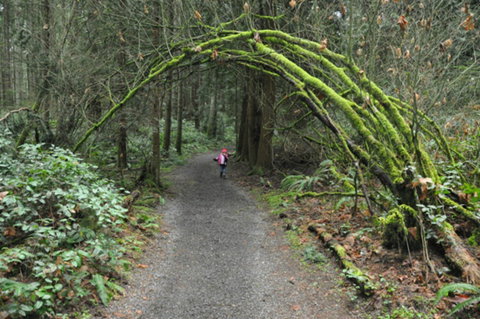 Bridle Trail - E Caravan Parks 0