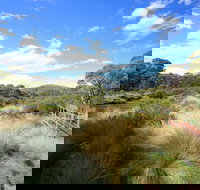 Bullocks walking track - E Caravan Parks