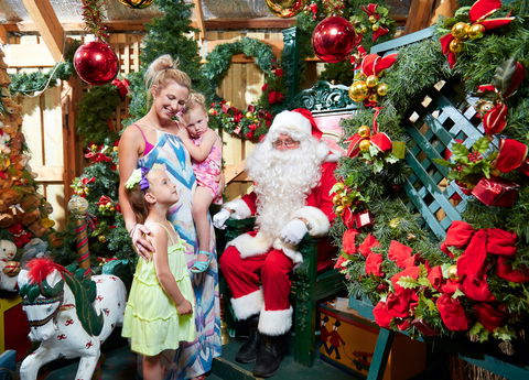 Christmas Tree Farm - E Caravan Parks 2