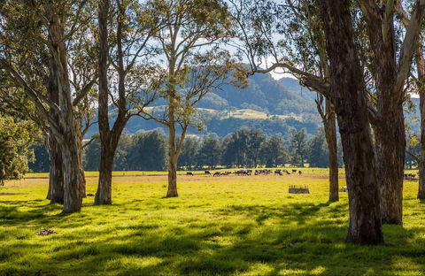 Coast To The Highlands Scenic Drive – Kangaroo Valley - E Caravan Parks 0