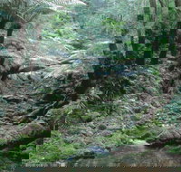 Corn Trail - E Caravan Parks