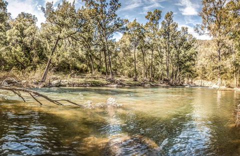 Flea Creek Picnic Area - E Caravan Parks 0
