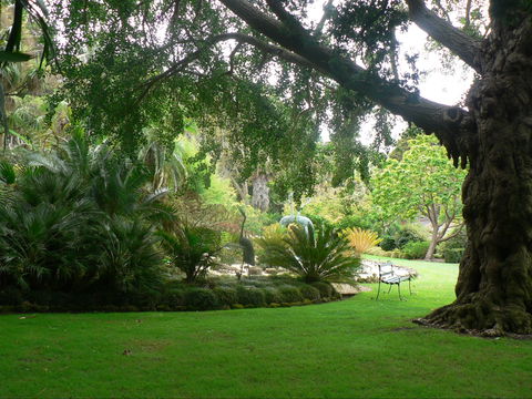 Friends Of Geelong Botanic Gardens - E Caravan Parks 1