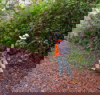 Gibraltar-Washpool World Heritage Walk - E Caravan Parks