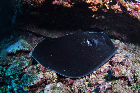 Hiros Cave And The Tubes - E Caravan Parks 1