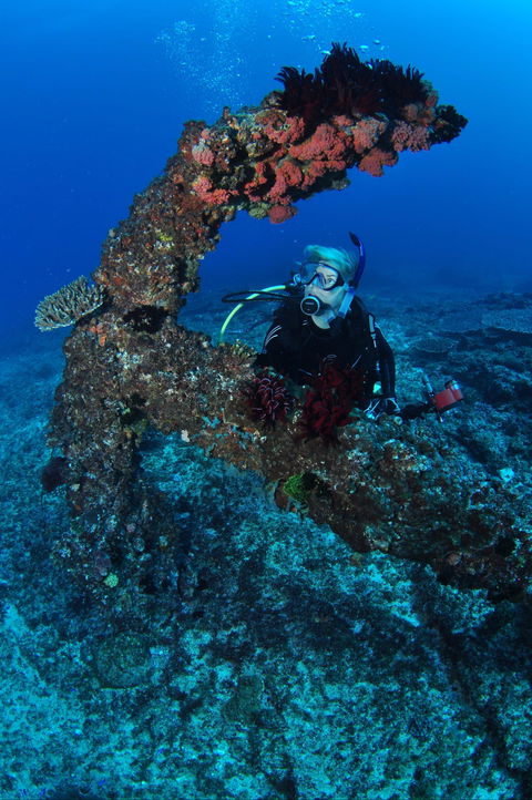 Hutchinson Shoal Dive Site - E Caravan Parks 1
