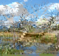 Lagoon Creek - E Caravan Parks