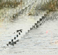 Little Llangothlin Picnic Area - E Caravan Parks