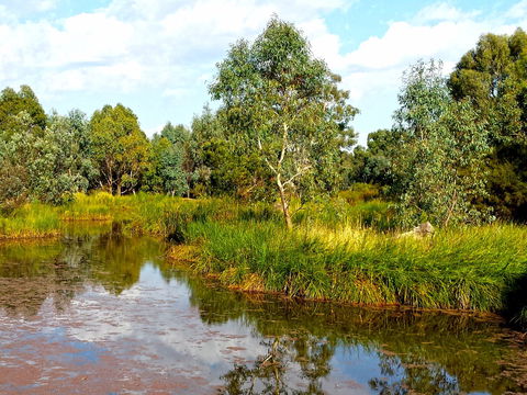 Mansfield Mullum Wetlands - E Caravan Parks 0