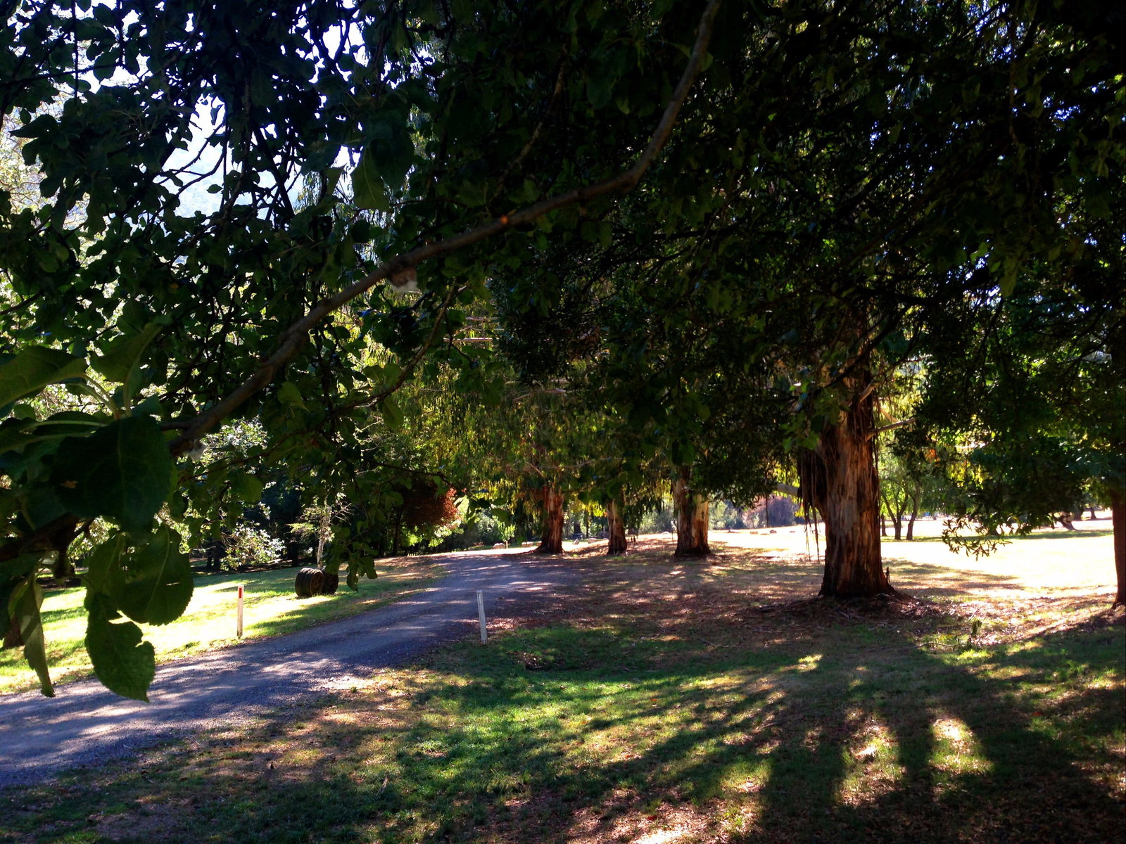 Mirimbah VIC E Caravan Parks