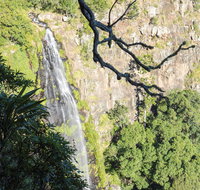 Morans Falls track Lamington National Park