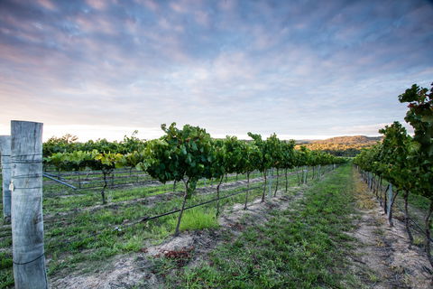 Nature And Foodies Trail - E Caravan Parks 0