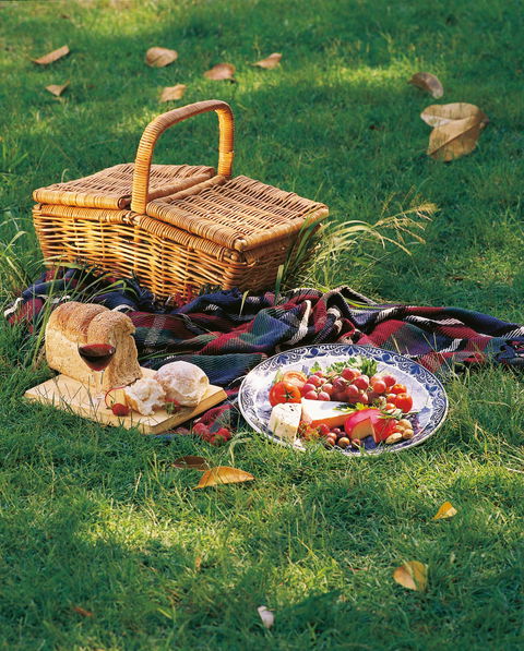 Nature And Foodies Trail - E Caravan Parks 2