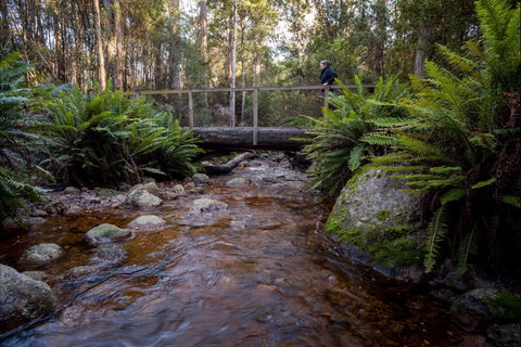 O'Neills Creek Picnic Reserve - E Caravan Parks 0