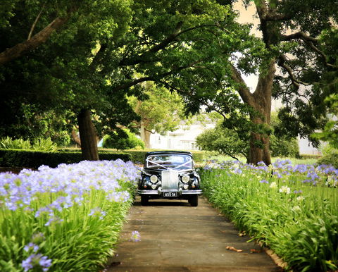 Queens Park, Toowoomba - E Caravan Parks 2