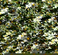 Round Tank Picnic Area