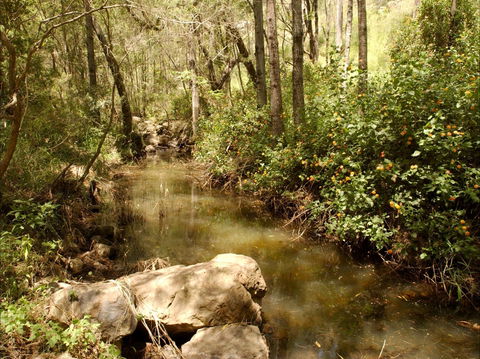 Sandy Creek Track - E Caravan Parks 0