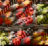 Severnlea - E Caravan Parks