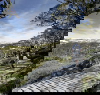 Snow Gums boardwalk - E Caravan Parks