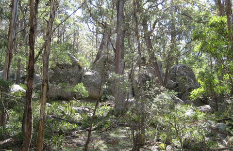 Tallaganda National Park - E Caravan Parks 0