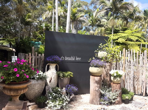 The Fernery At Diamond Waters - E Caravan Parks 1