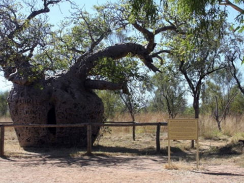 Time Walk, Windjana Gorge National Park - E Caravan Parks 2