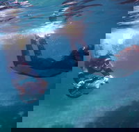 Small-Group Underwater Scooter Experience in Clovelly - E Caravan Parks