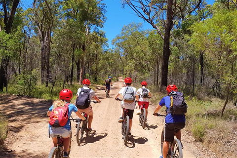Blue Labyrinth Tour: Sydney Blue Mountains By E-Bike - E Caravan Parks 1