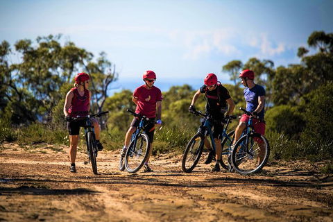 Blue Labyrinth Tour: Sydney Blue Mountains By E-Bike - E Caravan Parks 3