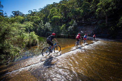 Blue Labyrinth Tour: Sydney Blue Mountains By E-Bike - E Caravan Parks 7