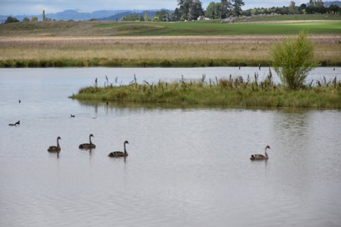 Beardy Waters Dam And Woodlands - E Caravan Parks 0