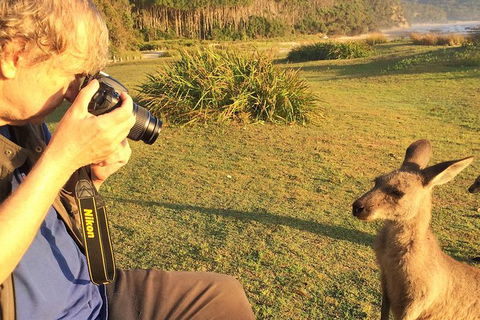 Highlights Of The Eurobodalla (half Day Private Tour) - E Caravan Parks 2