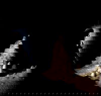 Jenolan Caves Extended Temple of Baal Cave Tour - E Caravan Parks