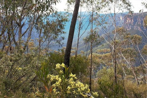 Blue Mountains - E Caravan Parks 0
